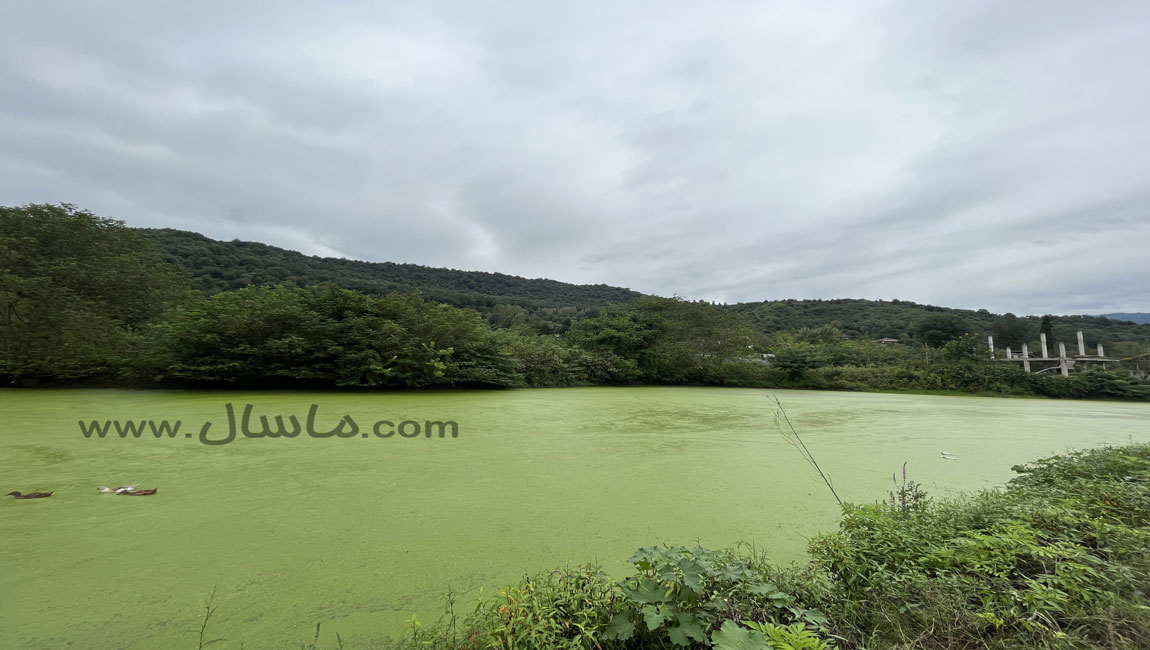 آبگیر دوقلوی روستای کیشه خانی شهر ماسال